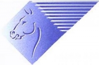 Pegazus Kft